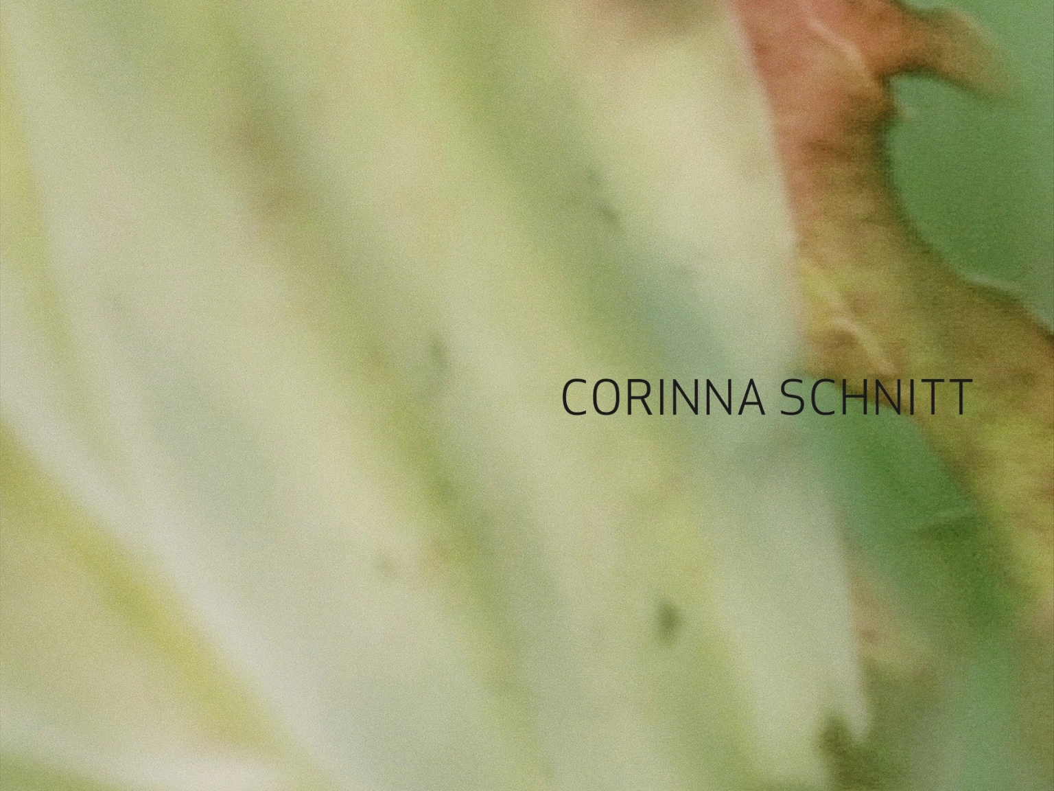 Cover Kunst der Gegenwart, Band 71: Corinna Schnitt